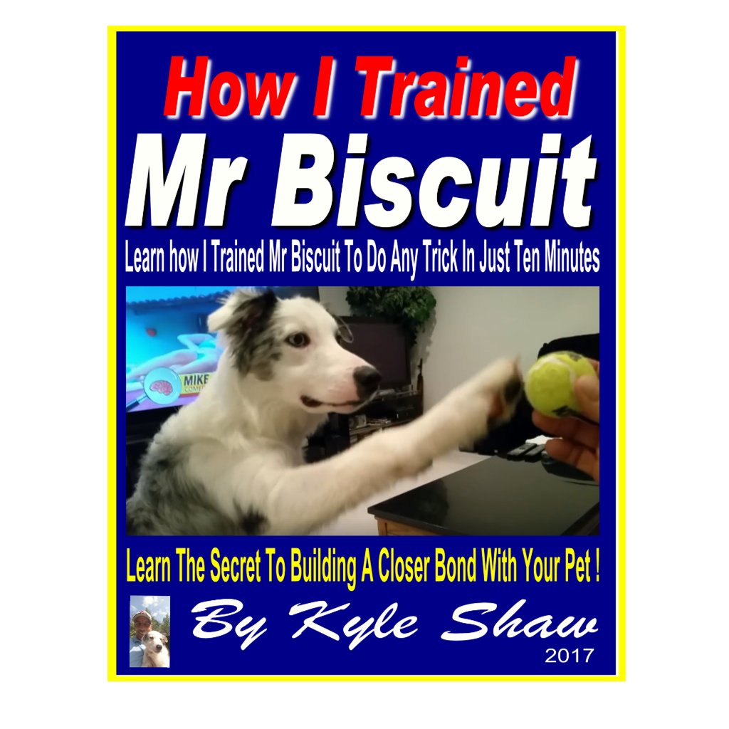 Biscuit Cover15